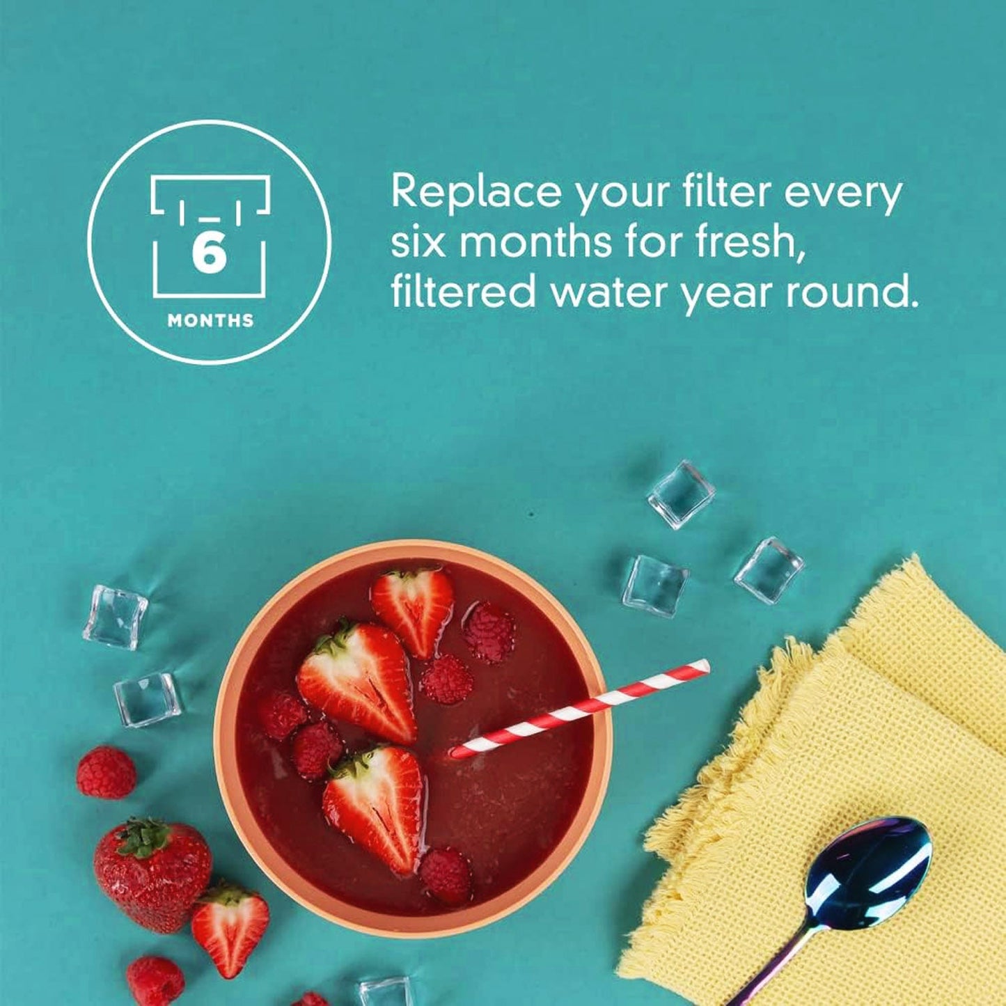 Everydrop by Whirlpool Ice Filter, F2WC9I1
