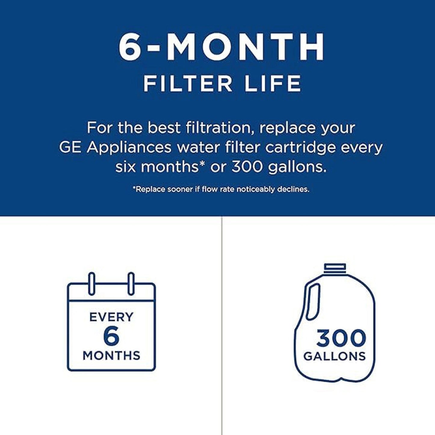 GE RPWFE Refrigerator Water Filter, 300 gallons per filter change