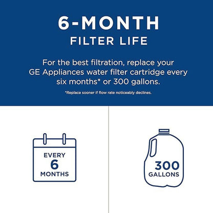 GE RPWFE Refrigerator Water Filter, 300 gallons per filter change